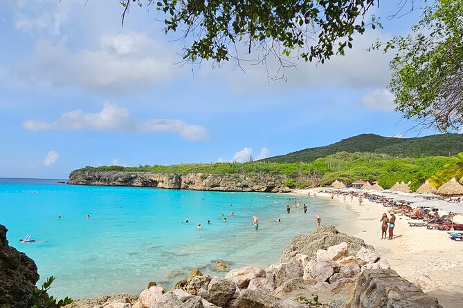 Turtle Swim at TurtleBay visit Flamingos & KnipBeach Safari Truck - Flamingos are a lucky extra