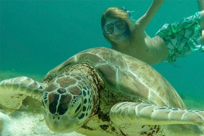 Turtles, Pizza Pi & Sunset trip - Christmas Cove: protected water and floating-pizza lunch