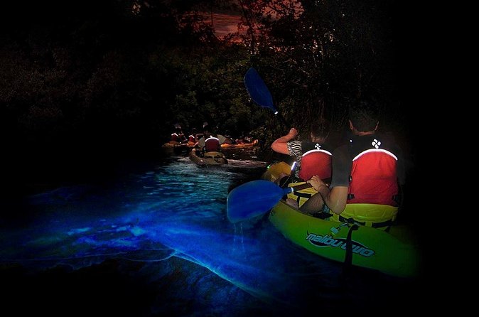 Two-in-One Day Trip: El Yunque and Bio Bay Tour with Transport - Paddling through the Red Mangrove Forest
