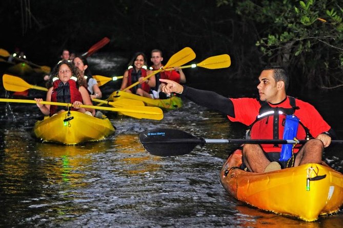 Two-in-One Day Trip: El Yunque and Bio Bay Tour with Transport - Who should book, and who should skip it