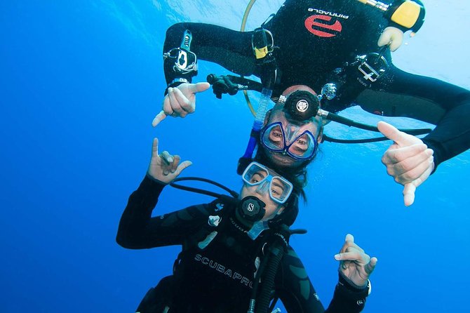 Two-Tank Dive for Certified Diving in St Thomas - Two hours underwater from Saga Haven Marina