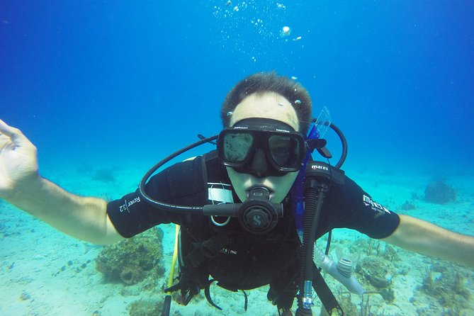 Two-Tank Dive for Certified Diving in St Thomas - Why the guides matter for newer certified participants