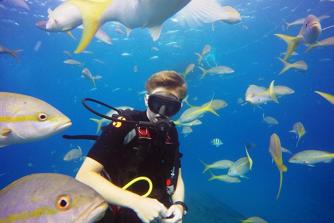 Two-Tank Dive for Certified Diving in St Thomas - Is the $189 price good value?