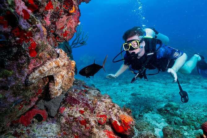 Two-Tank Morning Dive Trip for Certified Divers - Guides who make the biggest difference