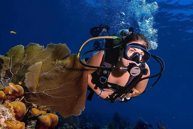 Two-Tank Morning Dive Trip for Certified Divers - What the equipment and boat service mean for you