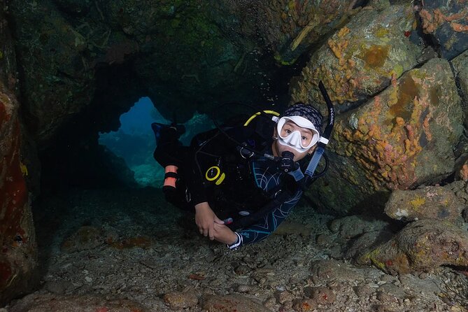 Two-Tank Morning Dive Trip for Certified Divers - Who will get the most from this morning trip?