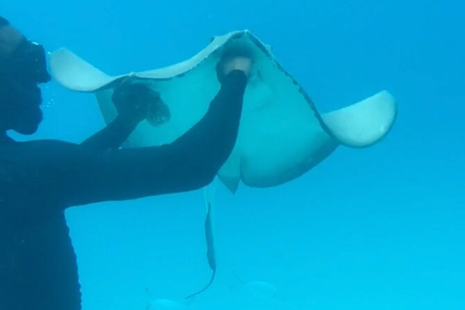 Ultimate Barbados Beach Day And Snorkel Cruise - Booking details and cancellation