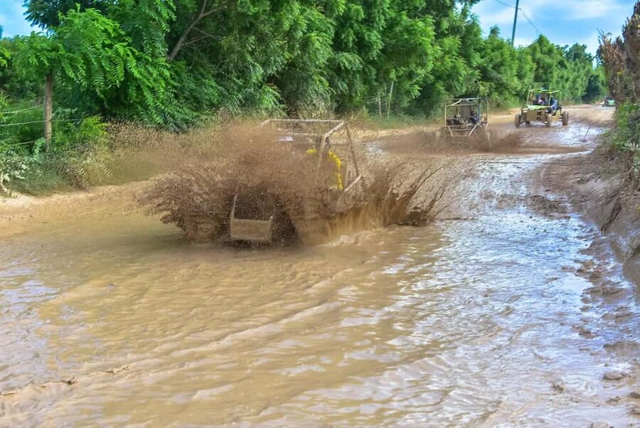 Ultimate Buggy Expedition from Punta Cana with blue cenote - The ranch stop: coffee, cacao, tobacco, and Mamajuana
