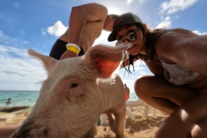 Ultimate SeaXscape Pigs/Turtles/Snorkel/Lunch/Drinks/PU/DO - Why this Nassau boat tour packs in so much