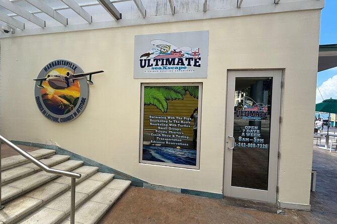 Ultimate SeaXscape Pigs/Turtles/Snorkel/Lunch/Drinks/PU/DO - Feeding the swimming pigs
