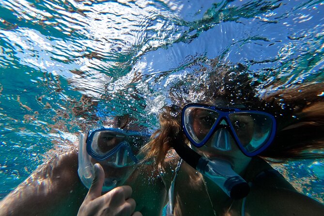 Ultimate SeaXscape Pigs/Turtles/Snorkel/Lunch/Drinks/PU/DO - Coral reefs, tropical fish, and Rose Island