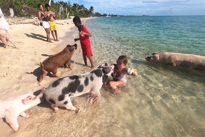 Ultimate SeaXscape Pigs/Turtles/Snorkel/Lunch/Drinks/PU/DO - Gilligan’s Island and the Nassau harbor ride