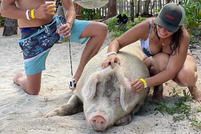 Ultimate SeaXscape Pigs/Turtles/Snorkel/Lunch/Drinks/PU/DO - Morning pickup and the ride from Nassau