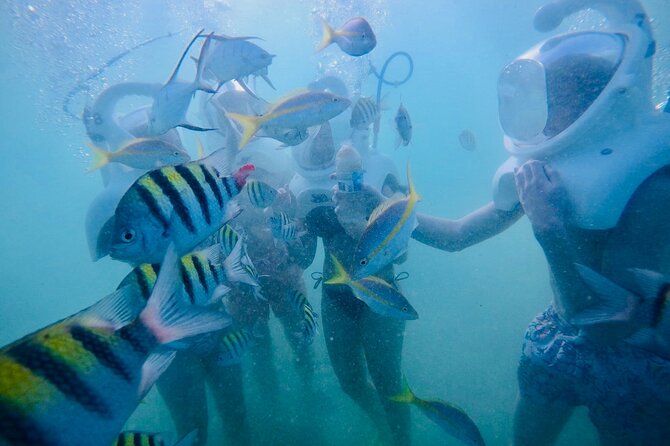 Underwater Sea Trek in San Juan: Explore Beneath the Waves - Walking toward the deeper part of the cove