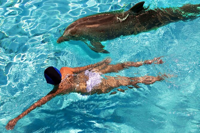 USVI Private Boat Charters - New, Fast Powerboats for Half and Full Day - Snorkeling with turtles, rays, and tropical fish