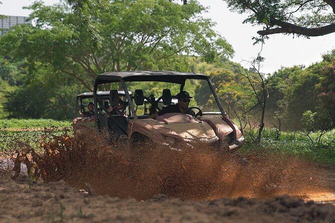 UTV adventure in Naguabo Puerto Rico 50 minutes trip 80 acres - Is $100 a good value?