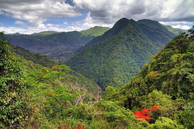UTV and Can-Am Sightseeing Tours in Puerto Rico - What El Yunque means on this tour