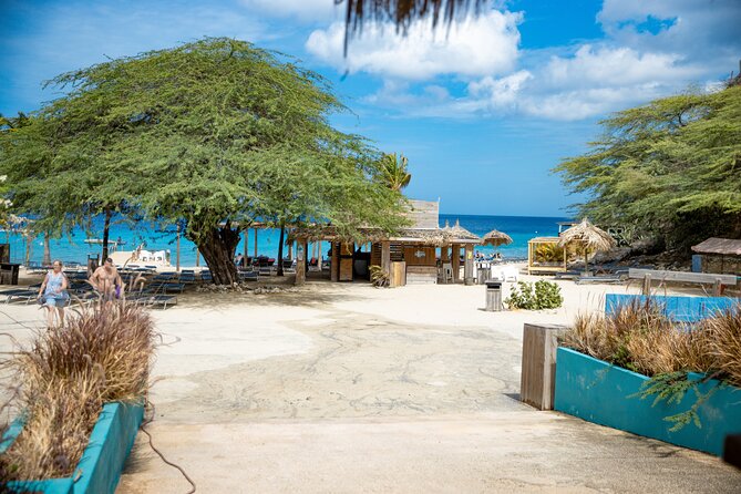 UTV Buggy and Snorkeling Tour in Willemstad Curacao - Kokomo Beach and the promised water stop