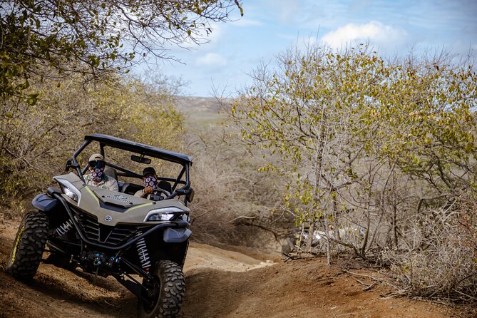 UTV Buggy and Snorkeling Tour in Willemstad Curacao - Who will enjoy this UTV tour most