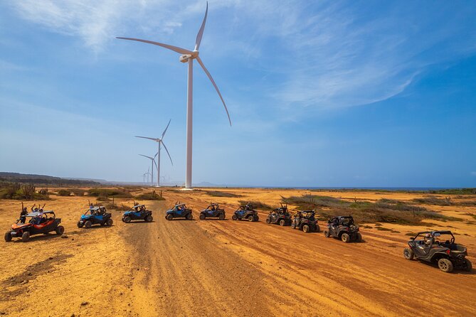 UTV Buggy Expedition in West Coast - What the $229 price really covers