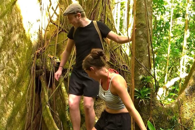 Vermont Nature Trail Tour with Fraser's Taxi and Tours - Price, timing, and cancellation details