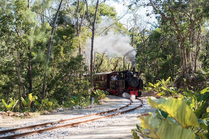 Victorian Steam Railway to Cherry Tree Hill + Great House Tour - Key points at a glance
