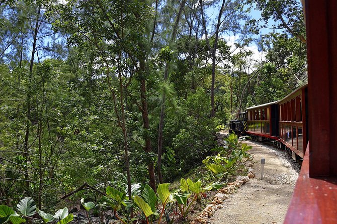 Victorian Steam Railway to Cherry Tree Hill + Great House Tour - How much value do you get for $35?