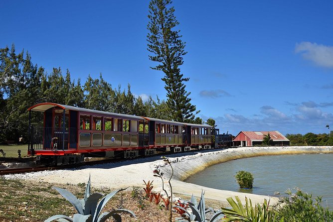 Victorian Steam Railway to Cherry Tree Hill + Great House Tour - Who will enjoy this outing most?