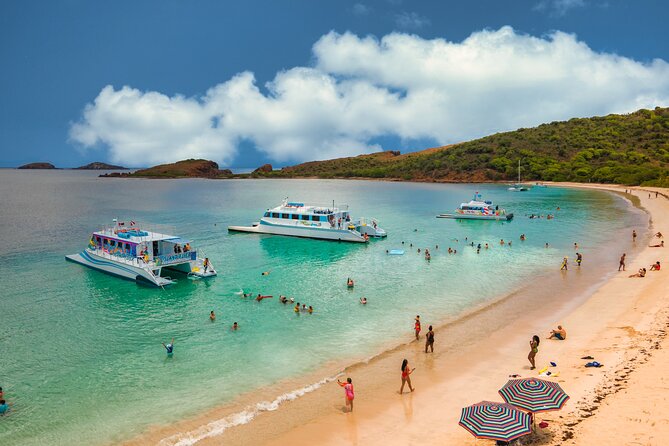 Vieques: Beach and Snorkeling Tour by Catamaran from Fajardo - Who will get the most from this trip