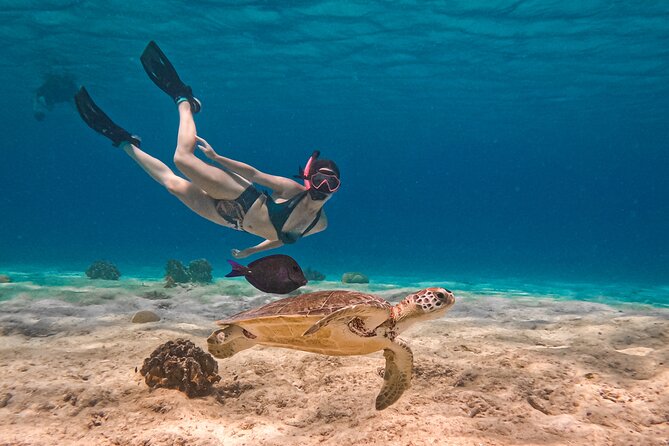VIP Private Snorkeling Tour with Underwater Photos - Key points to know before booking