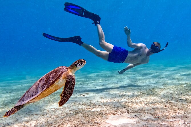 VIP Private Snorkeling Tour with Underwater Photos - Adjusting the plan when the sea changes