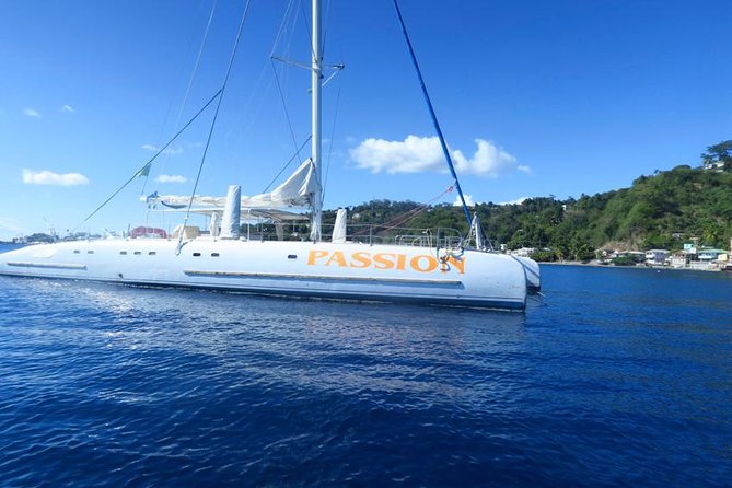 Waitukubuli Dolphin and Whale Watch in Dominica - Weather, spray, shade, and what to bring