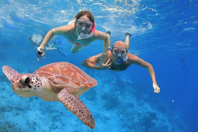 Waitukubuli Volcano Snorkeling - Key points to know before you book
