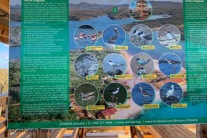 Washington Park Tour with Local Guide on Bonaire - Homemade lunch and what is included