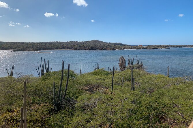 Washington Park Tour with Local Guide on Bonaire - Vehicle size, pickup, and the rough-road tradeoff