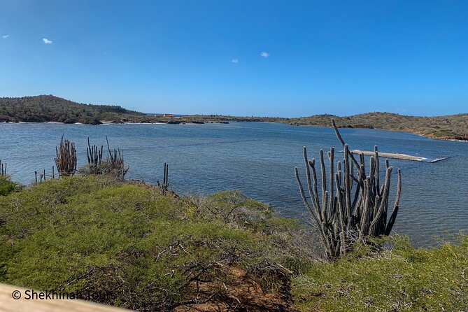 Washington Park Tour with Local Guide on Bonaire - Weather, cruise ships, and timing