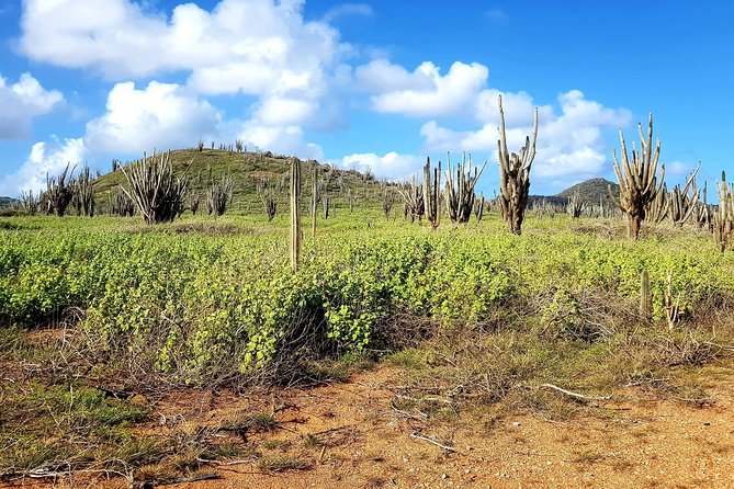 Washington Slagbaai National Park Tour in Bonaire - The Brandaris option needs clear expectations