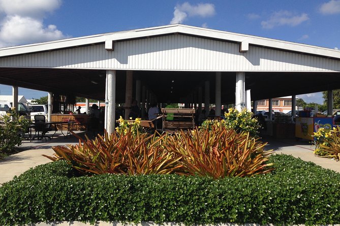 West Bay Sightseeing Tour Plus Seven Mile Beach Visit - Hell: Grand Cayman’s oddest quick stop