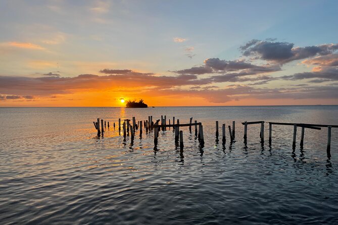 West Side Experience Puerto Rico Day Tour - How the $237.67 price works for you