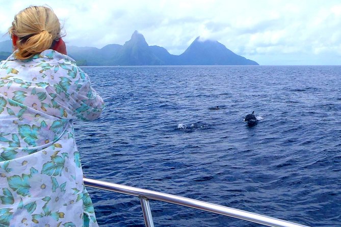 Whale Watching and Dolphin Spotting Cruise - Key points to know before you book