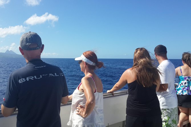 Whale Watching and Dolphin Spotting Cruise - Three hours on St Lucia’s northern waters