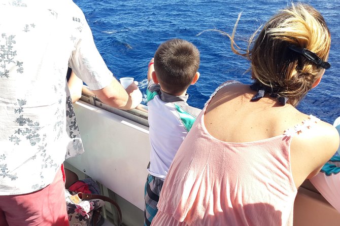 Whale Watching and Dolphin Spotting Cruise - How good is the $88 value?