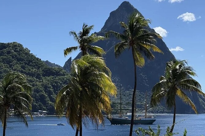 Wow Tours St. Lucia (COVID-19 Certified) - Key points to know before booking