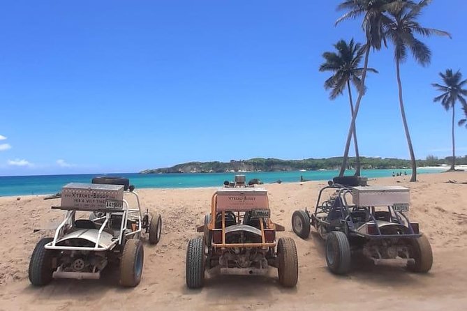 Xtreme Buggy 4 hours Dune Buggy & Country side experience - A real buggy ride, not a gentle resort loop