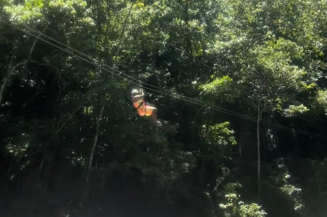 YS Falls, Black River Safari, Appleton Rum Tour OR Pelican Bar (Choose Up to 3) - The driver is more than transportation, if you communicate