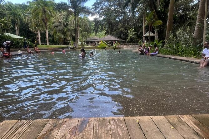 YS Falls, Black River Safari, Appleton Rum Tour OR Pelican Bar (Choose Up to 3) - The real price is closer to $300 per person