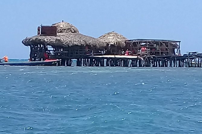 YS Falls & Pelican Bar Tour - What the private format gives you