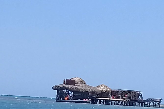 YS Falls & Pelican Bar Tour - Who will enjoy this day most