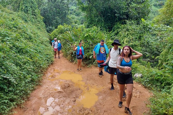 Yunque Rainforest Tour in Puerto Rico - Who should book this rainforest tour?