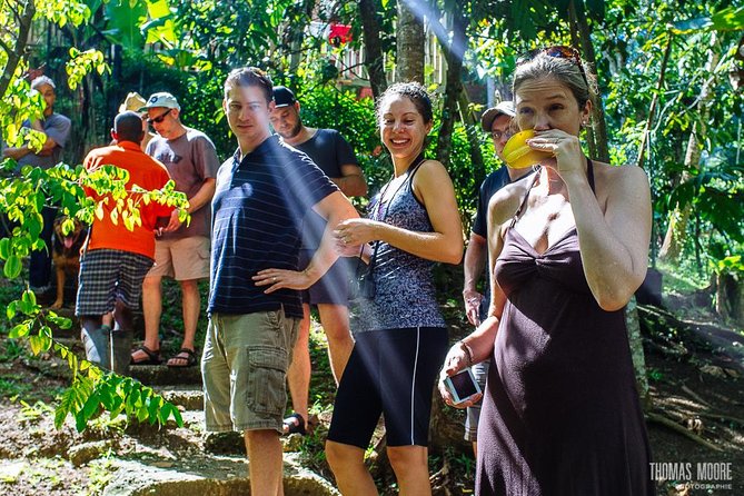 Zimbali's Rasta Tour Lunch - The uphill walk to the Rasta camp